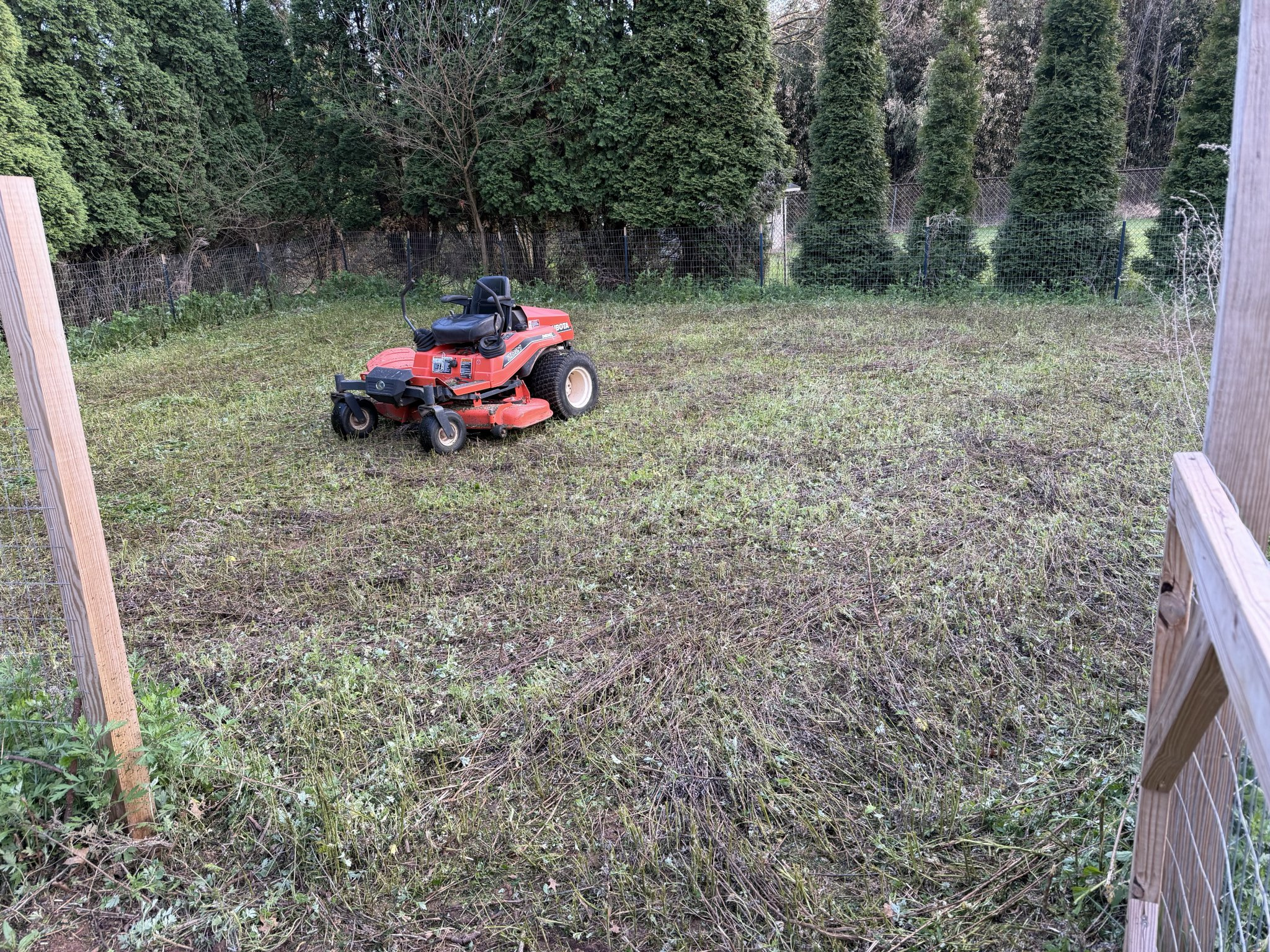 6a066336228a5.jpeg